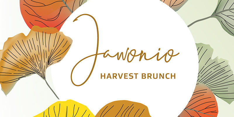 Jawonio-Harvest-Brunch